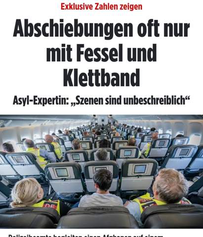 Bild zum Beitrag