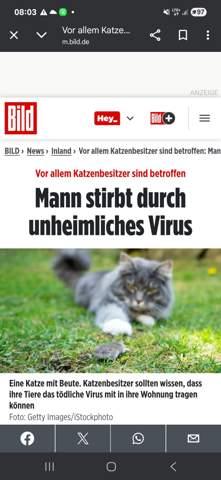 Bild zum Beitrag