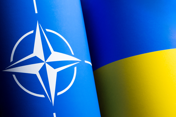 Sollte nach eurer Meinung sich die Nato aus dem Krieg in der Ukraine raushalten?