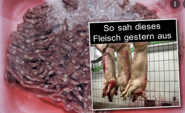 Sollten Schockbilder auf Fleischprodukten sein?