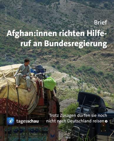 Bild zum Beitrag
