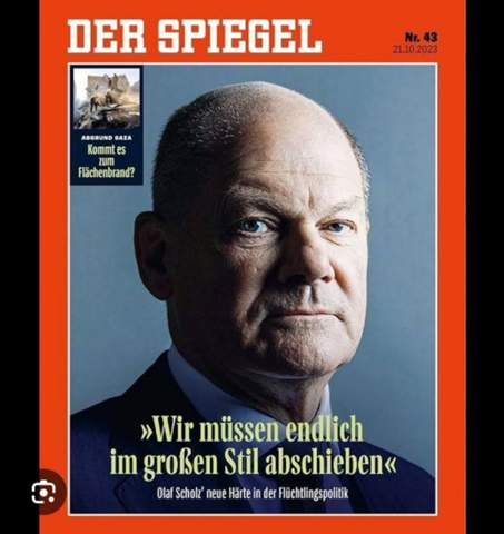 Bild zum Beitrag