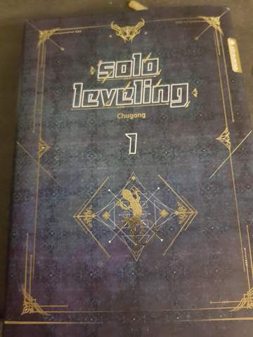 Solo leveling light novel?