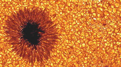 Heiße Sonne PDF