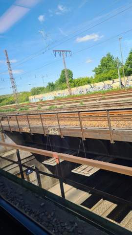 Bild zum Beitrag