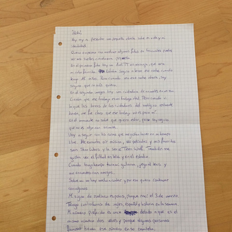 Spanisch Text korrigieren K1? (Schule, Lernen, Grammatik)