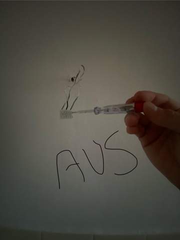 Bild zum Beitrag