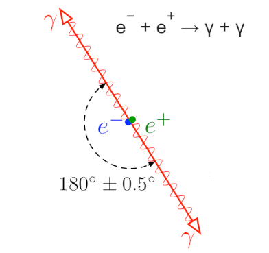 SpinErhaltung bei ElektronPositronKollision? (Physik, Wissenschaft
