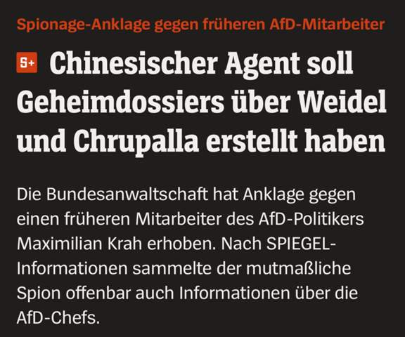 Bild zum Beitrag