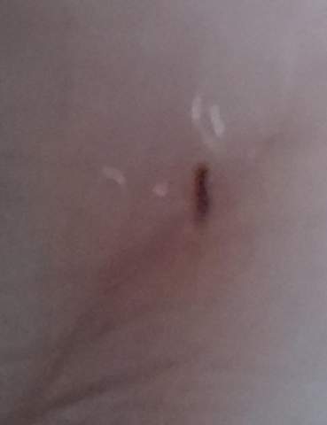 Bild zum Beitrag