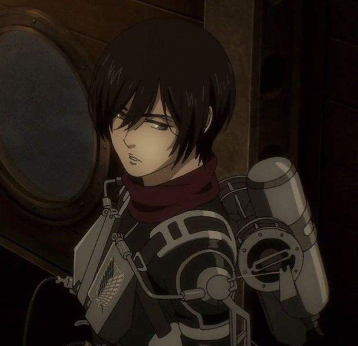Spoiler! Wie findet ihr die veränderung von Mikasa? (Filme und Serien