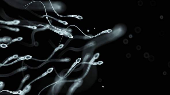 Spüren Spermien schmerzen?