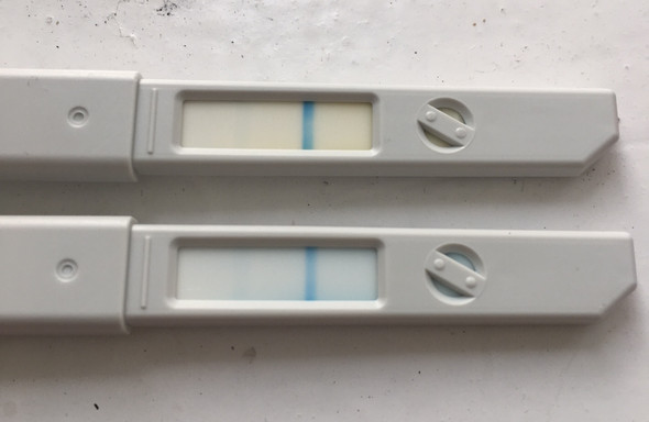 Trotzdem negativ 4 überfällig schwanger tage test 4 Tage