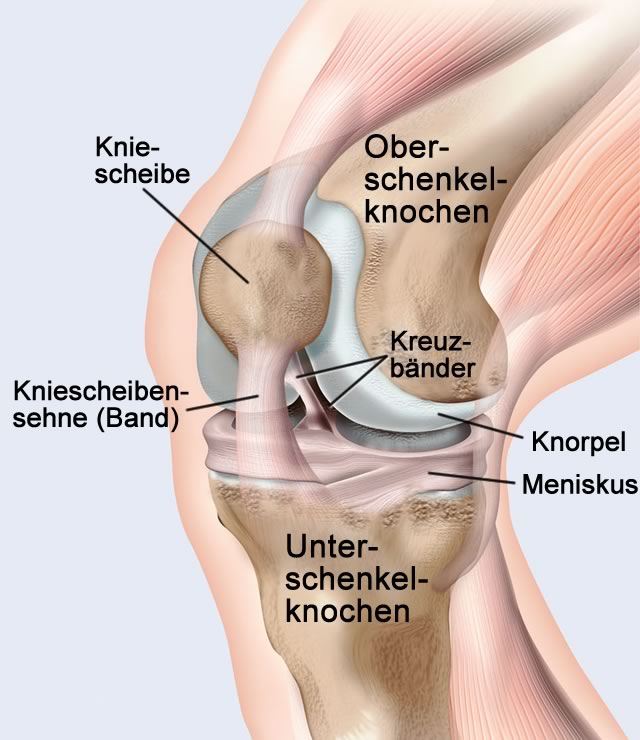 Ich Habe Ein Standiges Knacken Und Schmerzen Im Knie Was Kann Ich Tun Ich Habe Ein Standiges Knacken Und Schmerzen Im Knie Was Kann Ich Tun