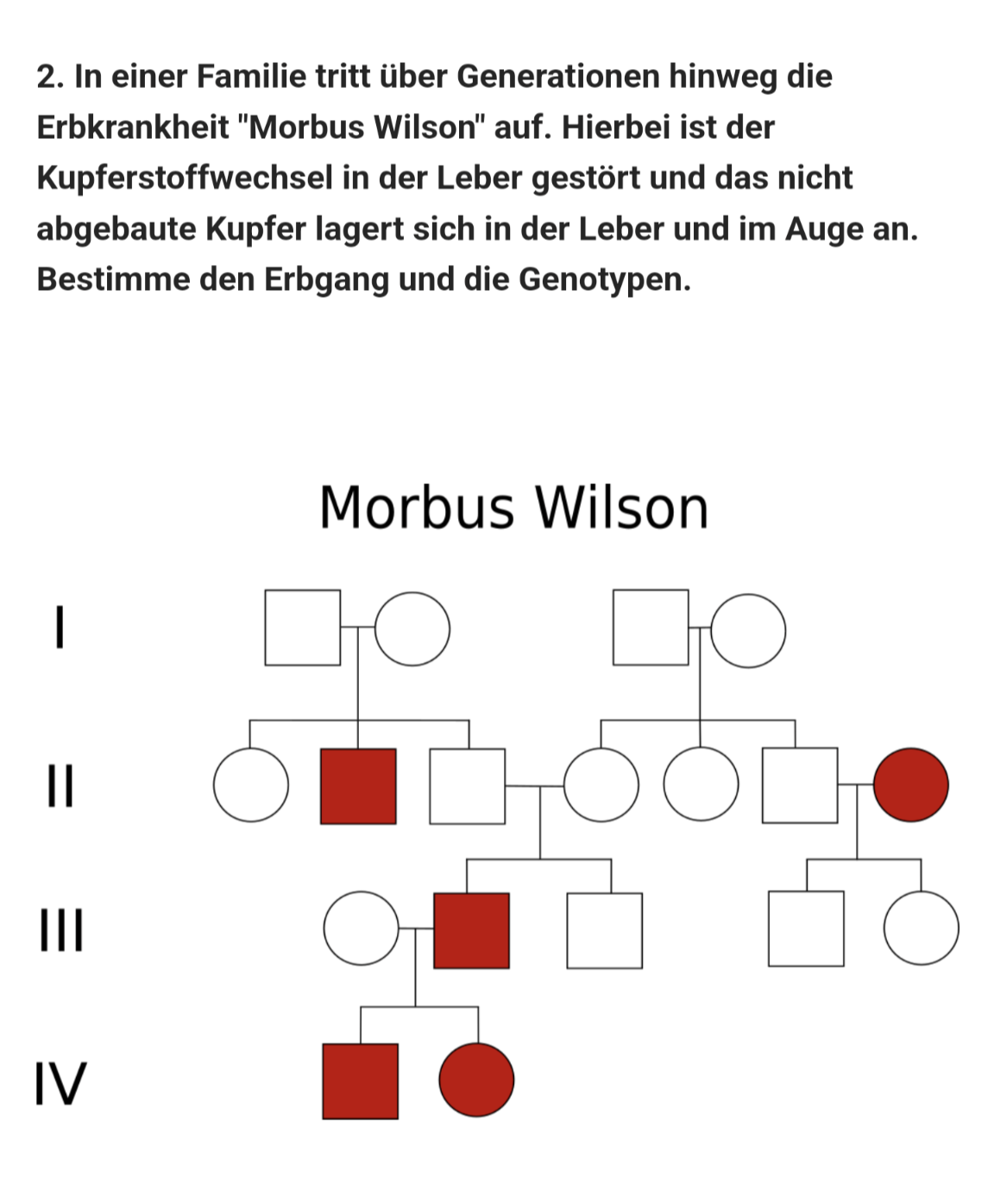 Stammbaum autosomal oder gonosomal? (Genetik, Bio, Biologieunterricht)