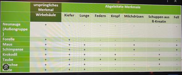 Bild zum Beitrag