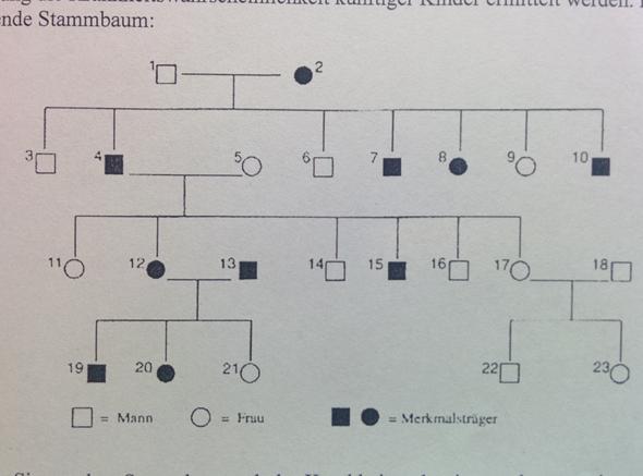 Stammbaum - (Biologie, Genetik, Analyse)