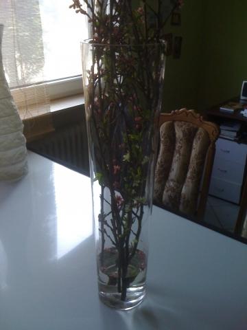 Die Komplette Vase, um das Ausgangsbild zu demonstrieren - (Pflanzen, Blumen, Dekoration)
