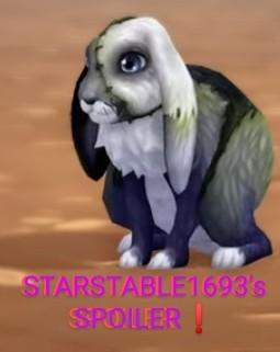  - (Star Stable, Spoiler Alarm)