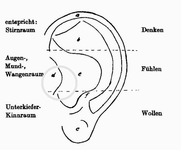 Schmerzen Am Ohr Außen Knorpel www.gutefrage.net