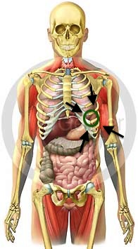 Starke Schmerzen Beim Atmen Linke Brust Korper Starke Schmerzen Beim Atmen Linke Brust Korper