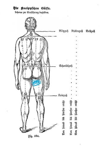 Starke Schmerzen Im Oberschenkel Taekwondo Gesundheit Sport Korper Starke Schmerzen Im Oberschenkel Taekwondo Gesundheit Sport Korper