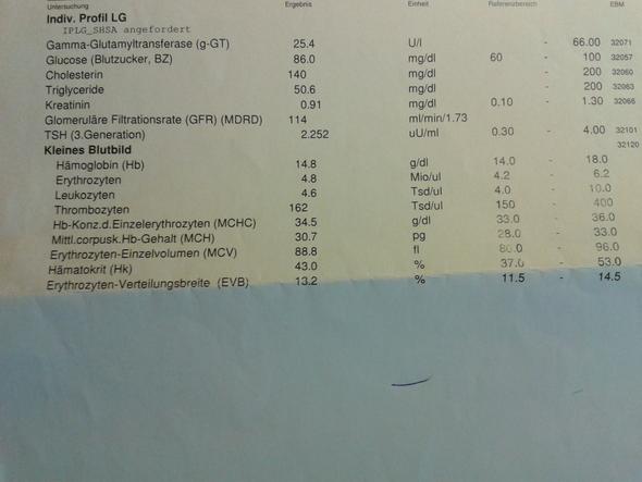 bluttest geschlechtskrankheiten