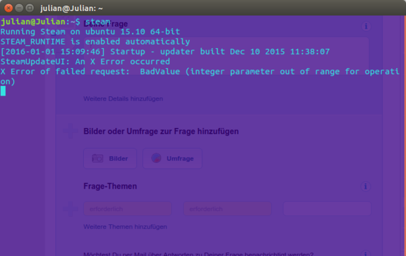 das passiert wenn ich steam im terminal starte - (Computer, Steam, Linux)