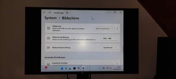 Bild zum Beitrag
