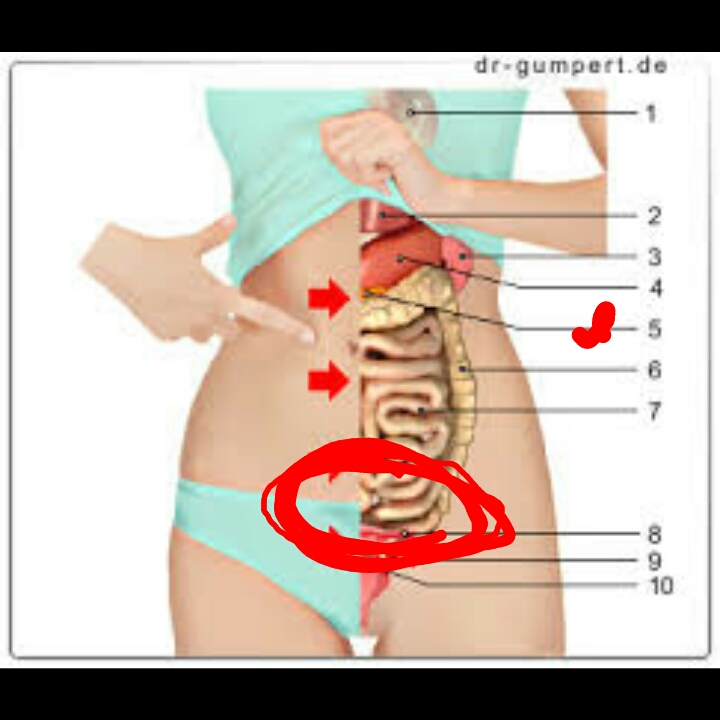 Stechen Bauch Unterleib Schmerzen Stechen Bauch Unterleib Schmerzen