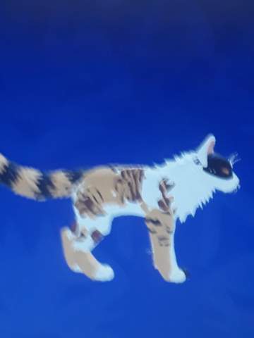 Steckbriefe warrior cats? (Geschichte, Name, Hobby)