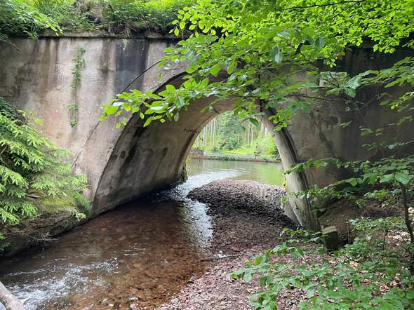 Bild zum Beitrag