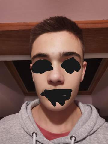 Bild zum Beitrag