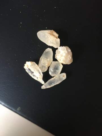 Steine am Gardasee gefunden?