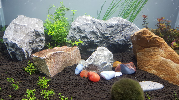 Steine für Aquarium ok? (Fische, Garnelen, Kalk)