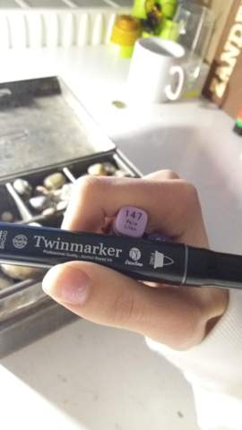 Steine mit 'Twinmakern' bemalen? (Computer, Kunst, Natur)