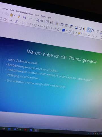 Stichpunkte groß oder klein? (Schule, Präsentation)