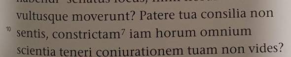 Stilmittel?