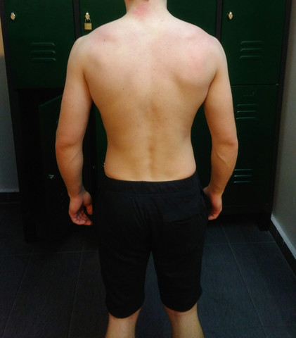 Rücken - (Muskelaufbau, Krafttraining, koerperfett)