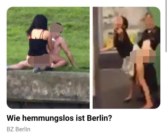 Bild zum Beitrag