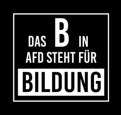 Bild zum Beitrag