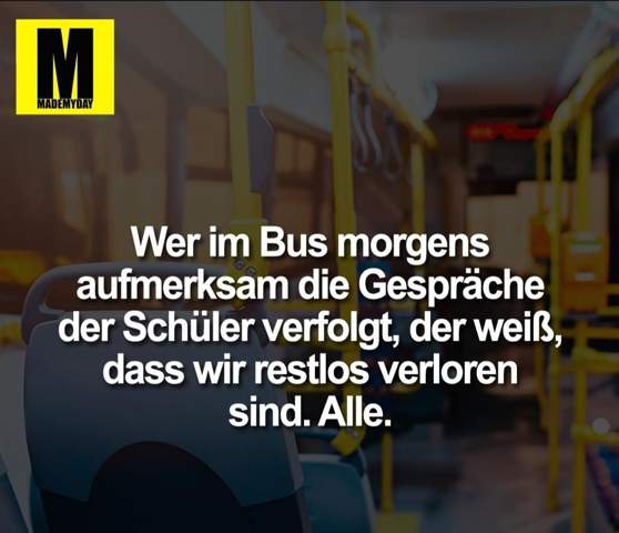 Bild zum Beitrag