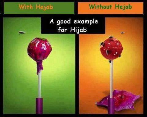 Stimmt ihr dieser Aussage/Lehre über das Tragen eines Kopftuches/Hijabs zu?