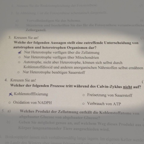 Ausgaben 3. und 4. ;
ich hoffe ihr könnt alles gut genug erkennen (: - (Biologie, Bio, fotosynthese)