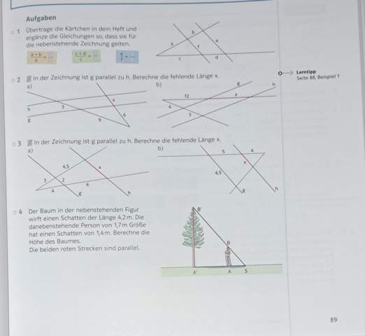 Strahlensätze in Mathe? (Mathematik, rechnen, Strahlensatz)