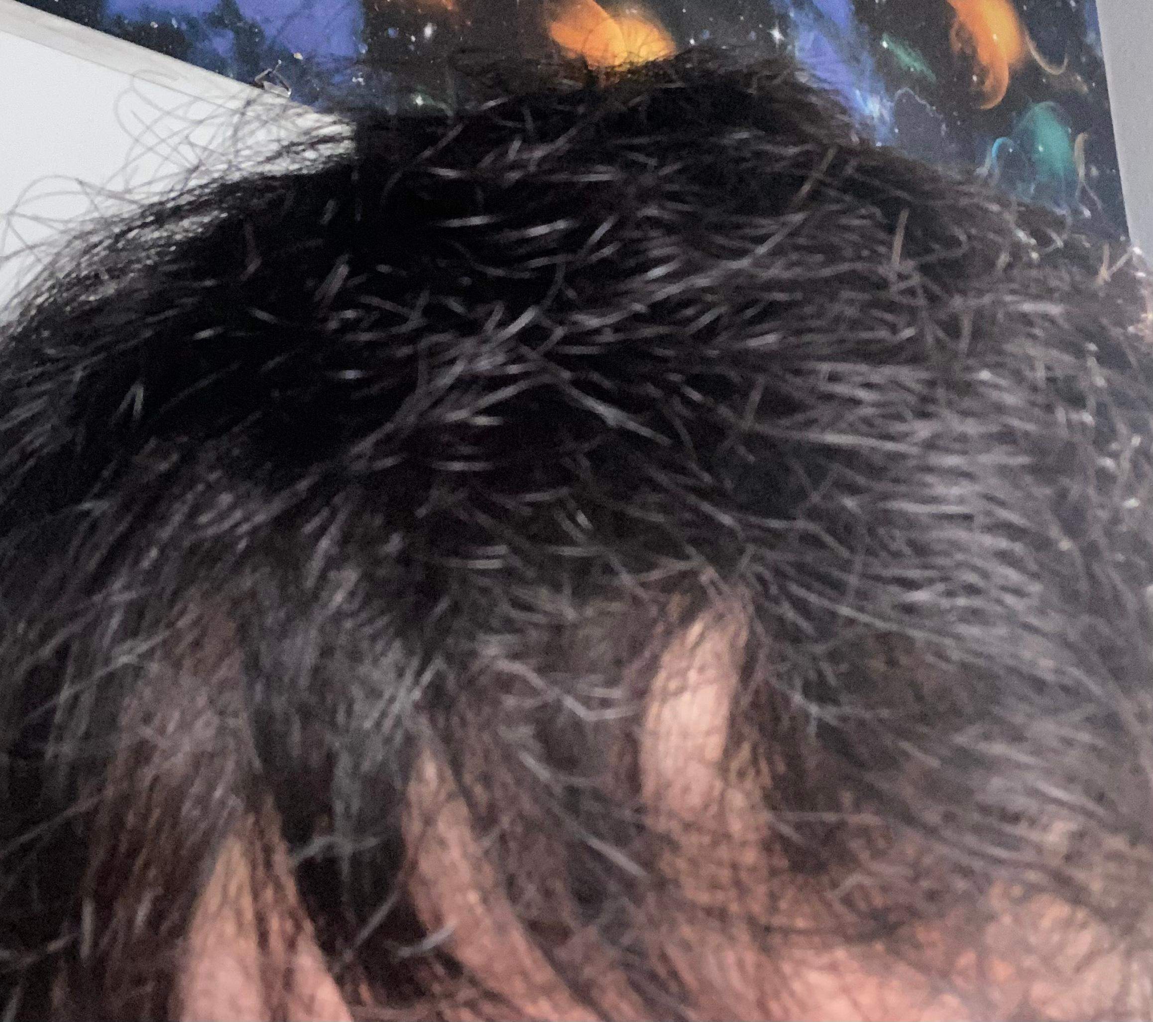 Strohiges haar (Junge)? (Aussehen, Pflege, Haarpflege)