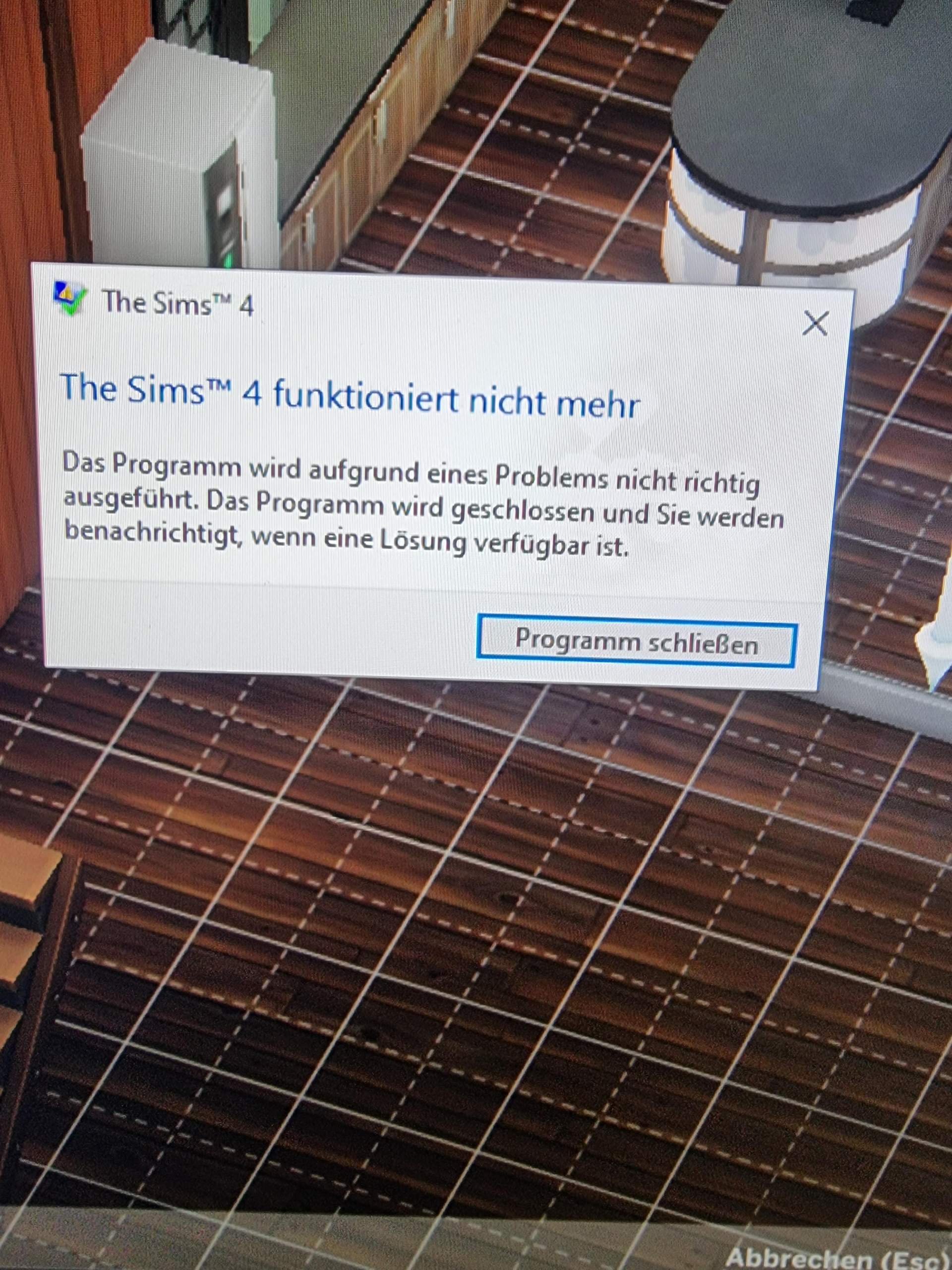 Stürzt immer ab (? (Windows 10, Fehlermeldung, Sims)