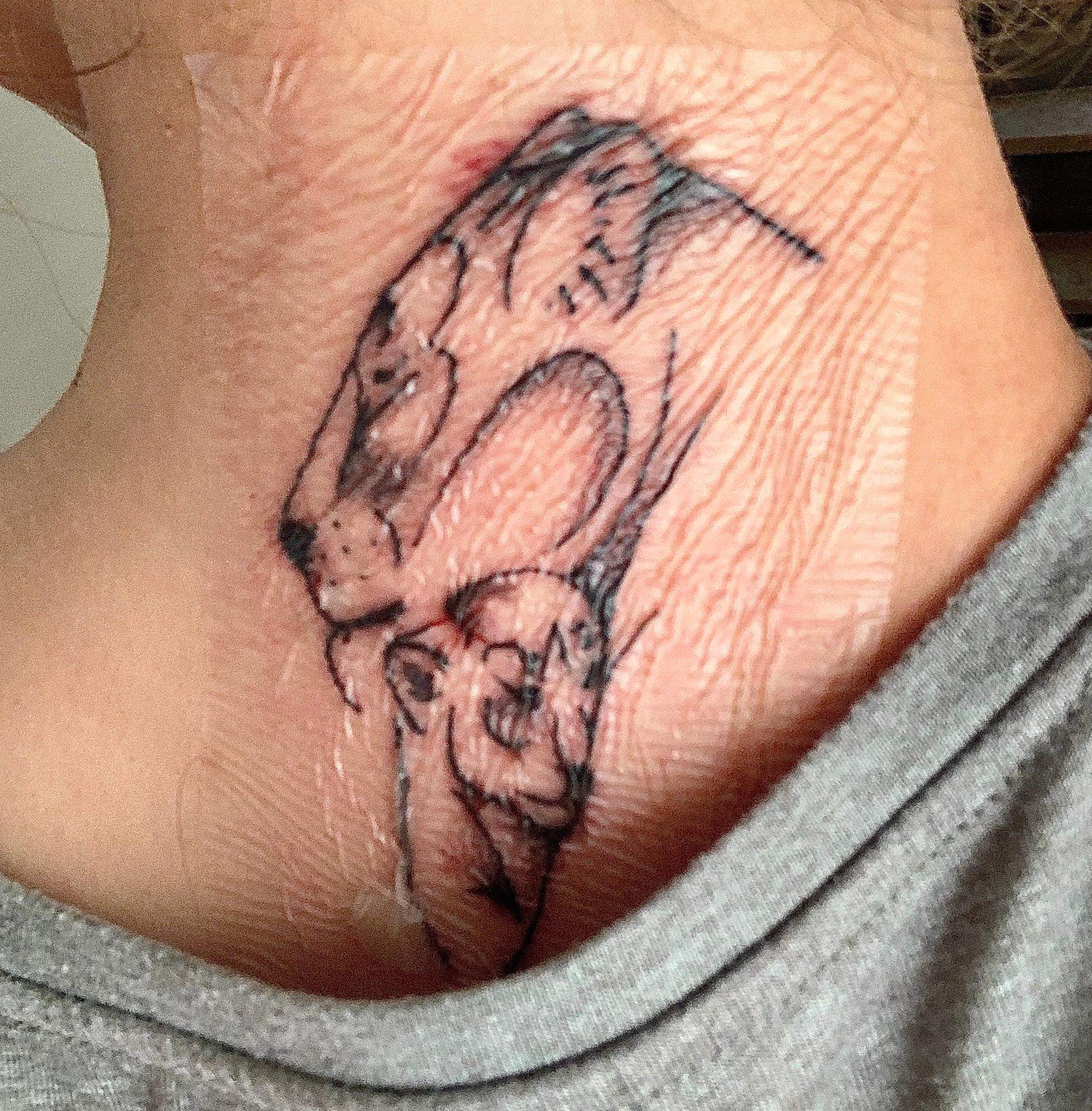 Subrasorb Folie Tattoo Spannt Tattoopflege