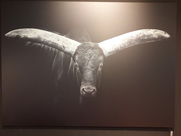 Suche dieses o.ä. Bild/Leinwand/Poster? (Computer, Bilder, Datei)