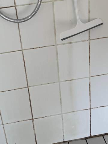 Suche Empfehlungen für einen Bad & Duschkabinen Reiniger / Putzmittel?